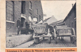 Ecole De Bienfaisance De L'état A SAINT HUBERT - Livraison A La Culture De Nitrate Moulu Et Prise D'echantillon - - Saint-Hubert