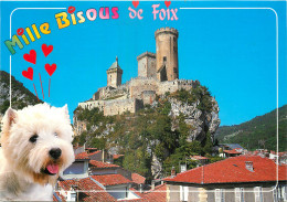 09 - FOIX - Foix