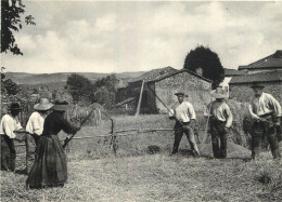 07 - IL ETAIT UNE FOIS L'AUVERGNE ET LES CEVENNES - LE BATTAGE AU FLEAU - EDITION ARSERE - Sonstige & Ohne Zuordnung