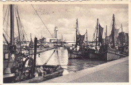 OSTENDE - OOSTENDE  - Le Dock Montgomery - Oostende