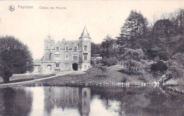 PEPINSTER - Chateau Des Mazures - Pepinster