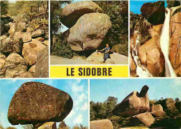 81 - Tarn - Le Sidobre - Multivues - CPM - Voir Scans Recto-Verso - Other & Unclassified