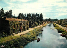 79 - Coulon - Marais Poitevin - Venise Verte - CPM - Voir Scans Recto-Verso - Other & Unclassified