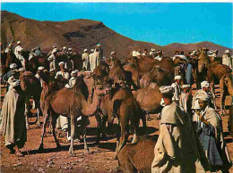 Maroc - Maroc Typique - Marché Aux Dromadaires - CPM - Voir Scans Recto-Verso - Autres & Non Classés