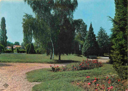 42 - Sury Le Comtal - Le Parc - CPM - Voir Scans Recto-Verso - Autres & Non Classés