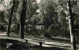 16 - Cognac - Bords De La Charente à Robinson - CPM - Voir Scans Recto-Verso - Cognac