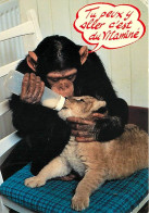 Animaux - Singes - Chimpanzé - Carte à Message - Biberon - Lionceau - CPM - Voir Scans Recto-Verso - Monos