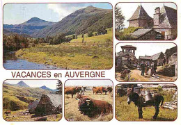 Animaux - Vaches - Auvergne - Multivues - Anes - Flamme Postale - CPM - Voir Scans Recto-Verso - Koeien