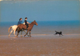 Animaux - Chevaux - CPM - Voir Scans Recto-Verso - Chevaux