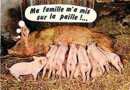 Animaux - Cochons - Petits - CPM - Voir Scans Recto-Verso - Schweine