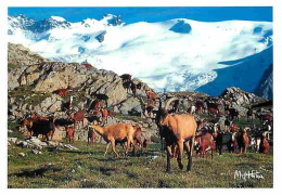 Animaux - Chèvres - Randonnée En Montagne - CPM - Voir Scans Recto-Verso - Autres & Non Classés