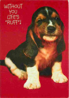 Animaux - Chiens - Chiot - CPM - Voir Scans Recto-Verso - Chiens