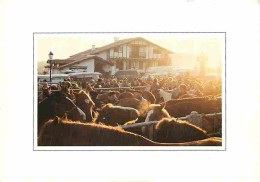 Animaux - Chevaux - La Foire Aux Chevaux Au Petit Matin - Carte Neuve - CPM - Voir Scans Recto-Verso - Pferde