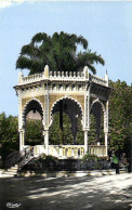 BLIDA Le Kiosque Au Palmier Place Clemenceau Curiosité Locale Colorisée RV - Blida