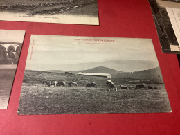 HOHNECK. Troupeau Vaches Chaumes. Marcairie.  LOT DE 3 CARTES.  SDV5/24 - Golbey