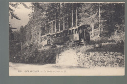 CP - 88 - Gerardmer - Train En Forêt - Gerardmer