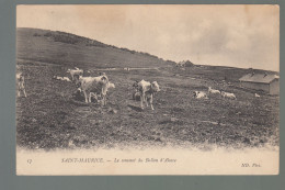 CP - 88 - Saint-Maurice - Sommet Du Ballon D'Alsace - Autres & Non Classés