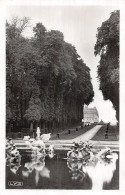 78-VERSAILLES BASSIN DU DRAGON-N°T5210-H/0309 - Versailles (Château)