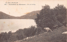 39-LAC DE NARLAY-N°T5210-F/0253 - Autres & Non Classés