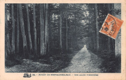 77-FONTAINEBLEAU LA FORET-N°T5211-C/0147 - Fontainebleau