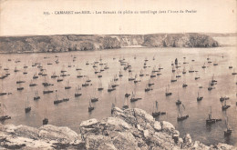 29-CAMARET SUR MER-N°T5211-B/0343 - Camaret-sur-Mer