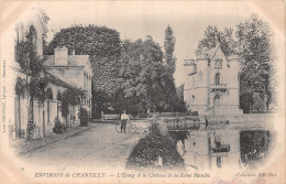 60-CHATEAU DE LA REINE BLANCHE-N°T5211-A/0067 - Autres & Non Classés