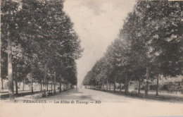 PERIGUEUX LES ALLEES DE TOURNY 1925 TBE - Périgueux