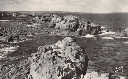 22-ILE DE BREHAT ROCHERS DE LA VIERGE-N°T5213-B/0161 - Ile De Bréhat