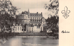 37-AMBOISE LE CHÂTEAU-N°T5213-A/0227 - Amboise