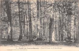 77-FONTAINEBLEAU LA FORET LA FUTAIE DES FOSSES ROUGES-N°T5213-A/0091 - Fontainebleau