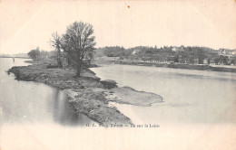 37-TOURS ILE SUR LA LOIRE-N°T5213-D/0321 - Tours