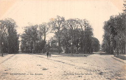 60-COMPIEGNE LES AVENUES-N°T5213-D/0285 - Compiegne