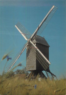 Sint-Martens-Latem Windmill - Sint-Martens-Latem