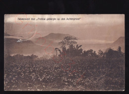 Ambarawa - Tabaksveld Met Prahoe Gebergte Op Den Achtergrond - Postkaart - Indonésie