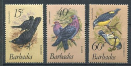 101 BARBADES 1982 - Yvert 545/47 - Oiseau - Neuf **(MNH) Sans Charniere - Barbados (1966-...)