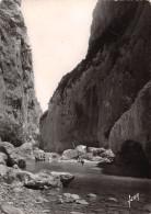 04GORGES DU VERDON-N°3930-B/0229 - Autres & Non Classés