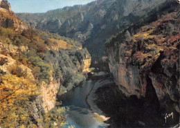 48-GORGES DU TARN-N°3930-A/0255 - Gorges Du Tarn