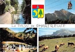 38-LA CHARTREUSE-N°3931-A/0049 - Sonstige & Ohne Zuordnung