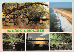 40-LEON MOLIETS-N°3931-B/0195 - Other & Unclassified