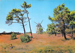 85-VENDEE MOULIN-N°3931-B/0153 - Autres & Non Classés