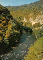 03-LA SIOULE GORGES-N°3931-D/0367 - Sonstige & Ohne Zuordnung