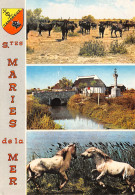 13-SAINTES MARIES DE LA MER-N°3932-C/0275 - Saintes Maries De La Mer