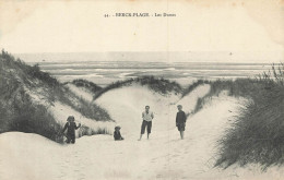 E804 Berck Plage Les Dunes - Berck