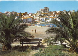 66-BANYULS-N°3932-B/0379 - Banyuls Sur Mer