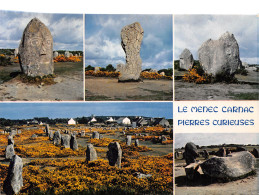 56-CARNAC-N°3932-D/0251 - Carnac