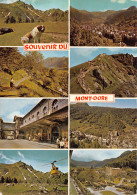 63-LE MONT DORE-N°3932-D/0229 - Le Mont Dore