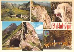 64-COL D AUBISQUE-N°3932-C/0357 - Autres & Non Classés