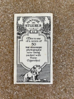 COLLECTIE 32 STUKS 1920-1930 CIGARETTES TRADING CARDS OF NATURE STUDIES - Other & Unclassified