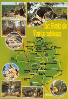 77-FONTAINEBLEAU-N°3933-C/0107 - Fontainebleau