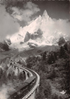 74-CHAMONIX-N°3933-A/0191 - Chamonix-Mont-Blanc